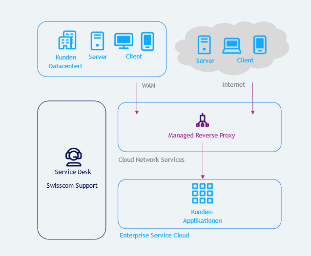 Managed Reverse Proxy Overview
